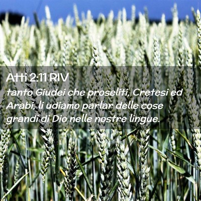 Picture 02 - Atti 2:11 RIV - tanto Giudei che proseliti, Cretesi ed Arabi, li - Bible Verse Picture