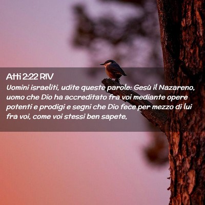 Picture 02 - Atti 2:22 RIV - Uomini israeliti, udite queste parole: Gesù il - Bible Verse Picture