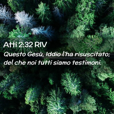 Picture 02 - Atti 2:32 RIV - Questo Gesù, Iddio l’ha risuscitato; del che - Bible Verse Picture
