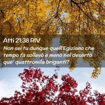 Picture 02 - Atti 21:38 RIV - Non sei tu dunque quell’Egiziano che tempo fa - Bible Verse Picture
