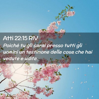 Picture 02 - Atti 22:15 RIV - Poiché tu gli sarai presso tutti gli uomini un - Bible Verse Picture