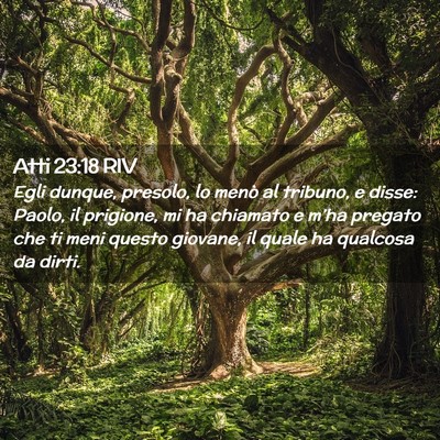 Picture 02 - Atti 23:18 RIV - Egli dunque, presolo, lo menò al tribuno, e - Bible Verse Picture