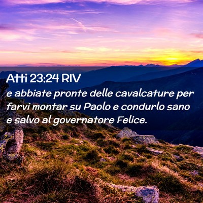 Picture 02 - Atti 23:24 RIV - e abbiate pronte delle cavalcature per farvi - Bible Verse Picture