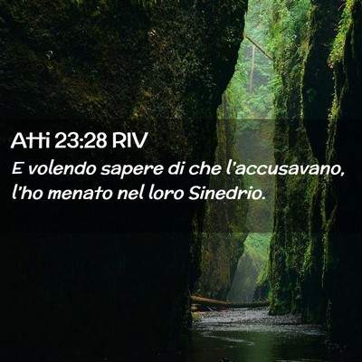 Picture 02 - Atti 23:28 RIV - E volendo sapere di che l’accusavano, l’ho - Bible Verse Picture
