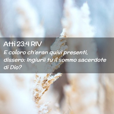 Picture 02 - Atti 23:4 RIV - E coloro ch’eran quivi presenti, dissero: - Bible Verse Picture