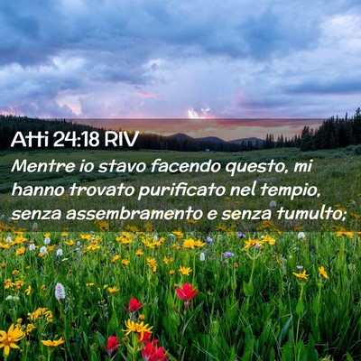 Picture 02 - Atti 24:18 RIV - Mentre io stavo facendo questo, mi hanno trovato - Bible Verse Picture
