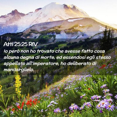Picture 02 - Atti 25:25 RIV - Io però non ho trovato che avesse fatto cosa - Bible Verse Picture