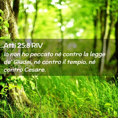 Picture 02 - Atti 25:8 RIV - Io non ho peccato né contro la legge de’ - Bible Verse Picture