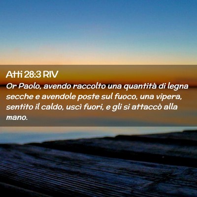 Picture 02 - Atti 28:3 RIV - Or Paolo, avendo raccolto una quantità di legna - Bible Verse Picture