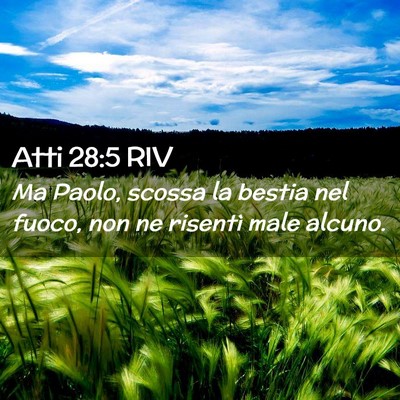 Picture 02 - Atti 28:5 RIV - Ma Paolo, scossa la bestia nel fuoco, non ne - Bible Verse Picture