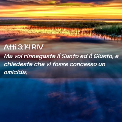 Picture 02 - Atti 3:14 RIV - Ma voi rinnegaste il Santo ed il Giusto, e - Bible Verse Picture