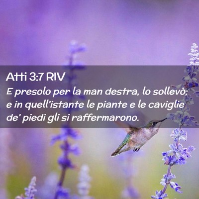 Picture 02 - Atti 3:7 RIV - E presolo per la man destra, lo sollevò; e in - Bible Verse Picture