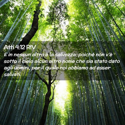 Picture 02 - Atti 4:12 RIV - E in nessun altro è la salvezza; poiché non - Bible Verse Picture