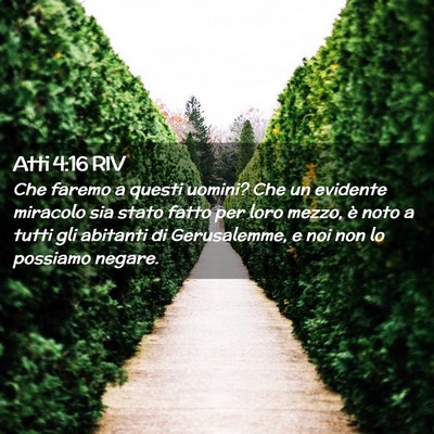 Picture 02 - Atti 4:16 RIV - Che faremo a questi uomini? Che un evidente - Bible Verse Picture