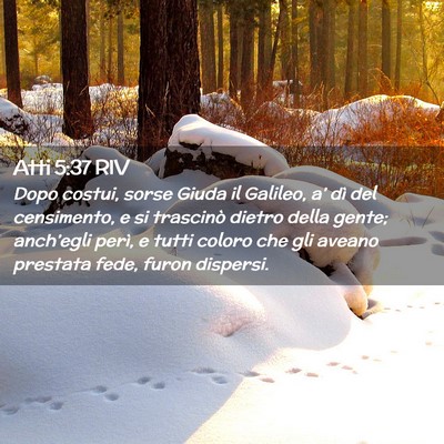 Picture 02 - Atti 5:37 RIV - Dopo costui, sorse Giuda il Galileo, a’ dì del - Bible Verse Picture