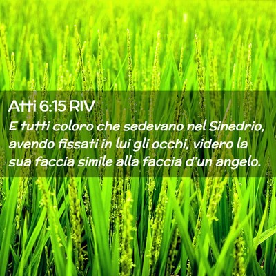 Picture 02 - Atti 6:15 RIV - E tutti coloro che sedevano nel Sinedrio, avendo - Bible Verse Picture