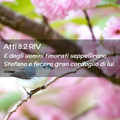 Picture 02 - Atti 8:2 RIV - E degli uomini timorati seppellirono Stefano e - Bible Verse Picture