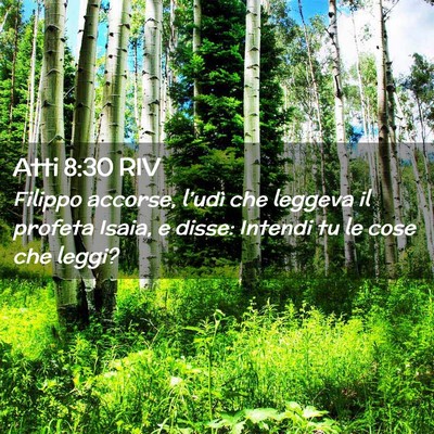 Picture 02 - Atti 8:30 RIV - Filippo accorse, l’udì che leggeva il profeta - Bible Verse Picture