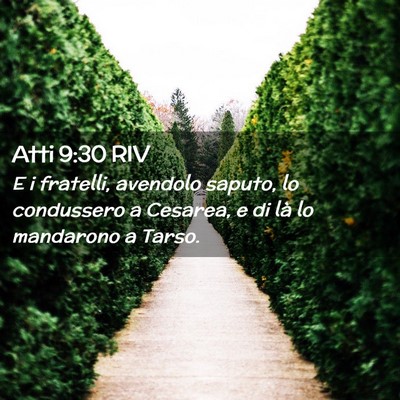 Picture 02 - Atti 9:30 RIV - E i fratelli, avendolo saputo, lo condussero a - Bible Verse Picture