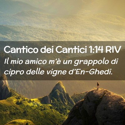 Picture 02 - Cantico dei Cantici 1:14 RIV - Il mio amico m’è un grappolo di cipro delle - Bible Verse Picture