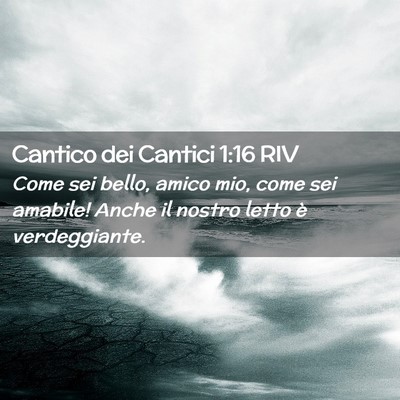 Picture 02 - Cantico dei Cantici 1:16 RIV - Come sei bello, amico mio, come sei amabile! - Bible Verse Picture