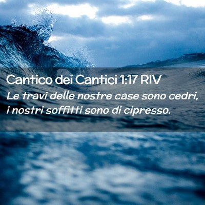 Picture 02 - Cantico dei Cantici 1:17 RIV - Le travi delle nostre case sono cedri, i nostri - Bible Verse Picture