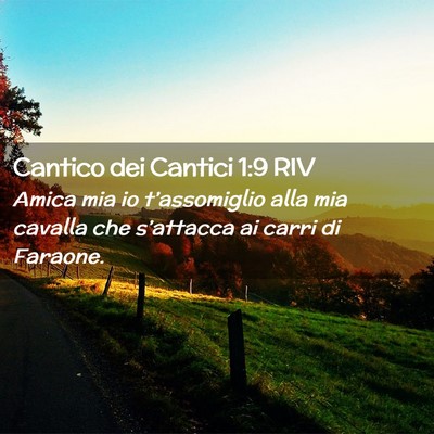 Picture 02 - Cantico dei Cantici 1:9 RIV - Amica mia io t’assomiglio alla mia cavalla che - Bible Verse Picture