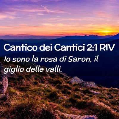 Picture 02 - Cantico dei Cantici 2:1 RIV - Io sono la rosa di Saron, il giglio delle - Bible Verse Picture