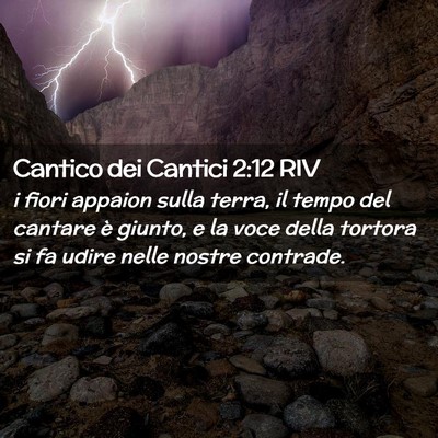 Picture 02 - Cantico dei Cantici 2:12 RIV - i fiori appaion sulla terra, il tempo del cantare - Bible Verse Picture