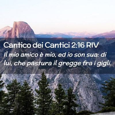 Picture 02 - Cantico dei Cantici 2:16 RIV - Il mio amico è mio, ed io son sua: di lui, che - Bible Verse Picture