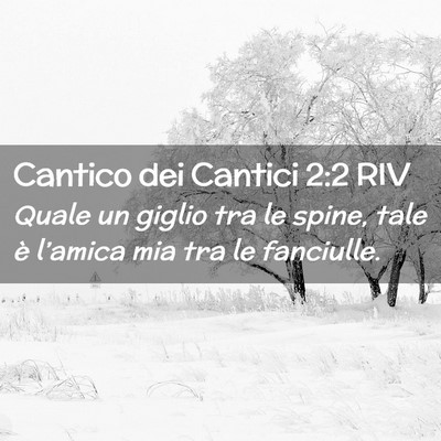 Picture 02 - Cantico dei Cantici 2:2 RIV - Quale un giglio tra le spine, tale è l’amica - Bible Verse Picture