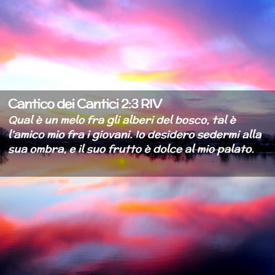 Picture 02 - Cantico dei Cantici 2:3 RIV - Qual è un melo fra gli alberi del bosco, tal è - Bible Verse Picture