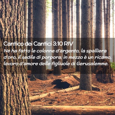 Picture 02 - Cantico dei Cantici 3:10 RIV - Ne ha fatto le colonne d’argento, la spalliera - Bible Verse Picture