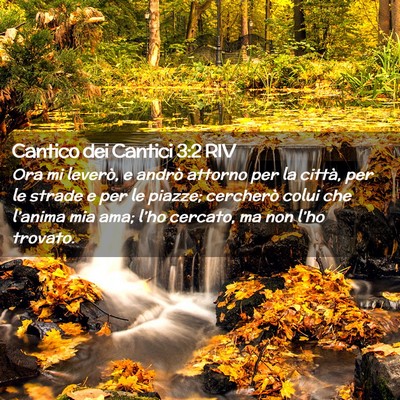 Picture 02 - Cantico dei Cantici 3:2 RIV - Ora mi leverò, e andrò attorno per la città, - Bible Verse Picture