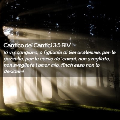 Picture 02 - Cantico dei Cantici 3:5 RIV - Io vi scongiuro, o figliuole di Gerusalemme, per - Bible Verse Picture