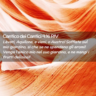 Picture 02 - Cantico dei Cantici 4:16 RIV - Lèvati, Aquilone, e vieni, o Austro! Soffiate - Bible Verse Picture