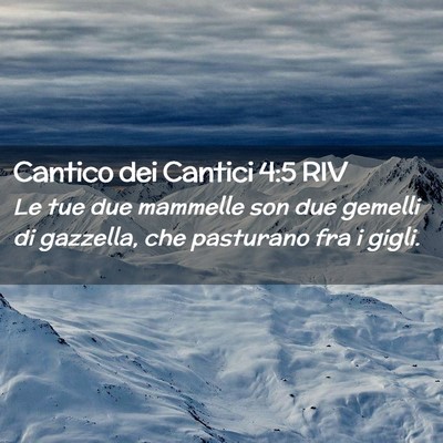 Picture 02 - Cantico dei Cantici 4:5 RIV - Le tue due mammelle son due gemelli di gazzella, - Bible Verse Picture