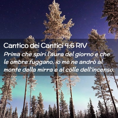 Picture 02 - Cantico dei Cantici 4:6 RIV - Prima che spiri l’aura del giorno e che le - Bible Verse Picture