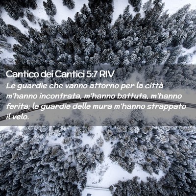 Picture 02 - Cantico dei Cantici 5:7 RIV - Le guardie che vanno attorno per la città - Bible Verse Picture