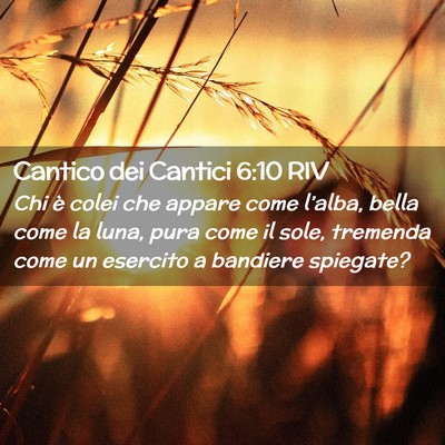 Picture 02 - Cantico dei Cantici 6:10 RIV - Chi è colei che appare come l’alba, bella come - Bible Verse Picture