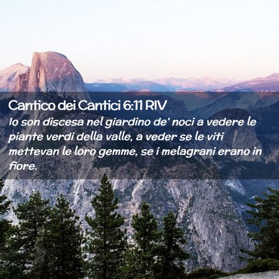 Picture 02 - Cantico dei Cantici 6:11 RIV - Io son discesa nel giardino de’ noci a vedere - Bible Verse Picture