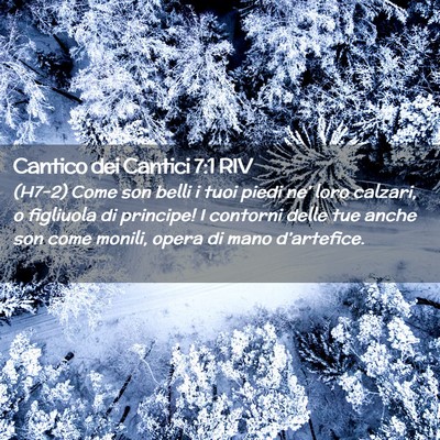 Picture 02 - Cantico dei Cantici 7:1 RIV - (H7-2) Come son belli i tuoi piedi ne’ loro - Bible Verse Picture