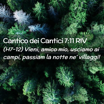 Picture 02 - Cantico dei Cantici 7:11 RIV - (H7-12) Vieni, amico mio, usciamo ai campi, - Bible Verse Picture
