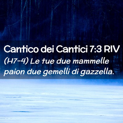 Picture 02 - Cantico dei Cantici 7:3 RIV - (H7-4) Le tue due mammelle paion due gemelli di - Bible Verse Picture