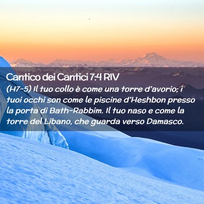 Picture 02 - Cantico dei Cantici 7:4 RIV - (H7-5) Il tuo collo è come una torre d’avorio; - Bible Verse Picture