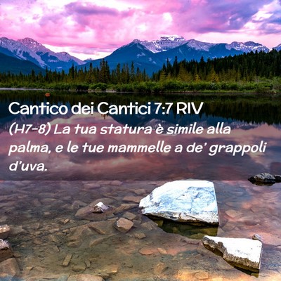 Picture 02 - Cantico dei Cantici 7:7 RIV - (H7-8) La tua statura è simile alla palma, e le - Bible Verse Picture