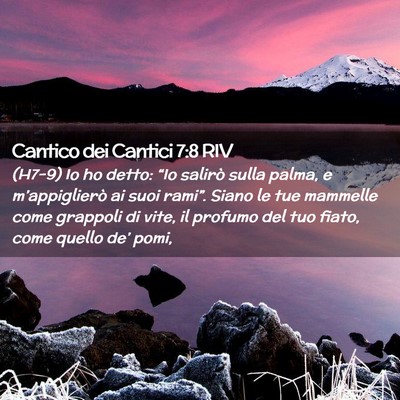 Picture 02 - Cantico dei Cantici 7:8 RIV - (H7-9) Io ho detto: “Io salirò sulla palma, e - Bible Verse Picture