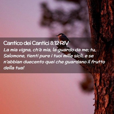 Picture 02 - Cantico dei Cantici 8:12 RIV - La mia vigna, ch’è mia, la guardo da me; tu, - Bible Verse Picture