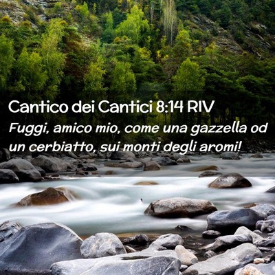 Picture 02 - Cantico dei Cantici 8:14 RIV - Fuggi, amico mio, come una gazzella od un - Bible Verse Picture