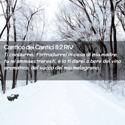 Picture 02 - Cantico dei Cantici 8:2 RIV - Ti condurrei, t’introdurrei in casa di mia - Bible Verse Picture